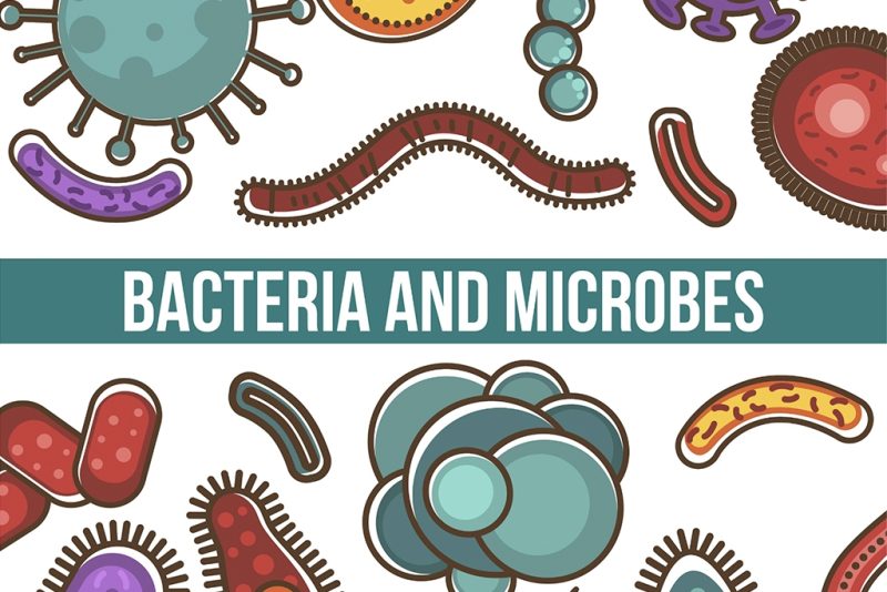 Antimicrobial Peptides and Proteins