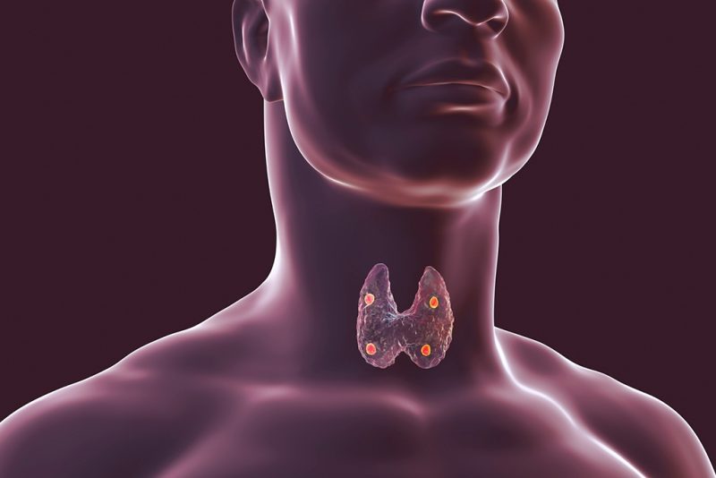 Endocrine Gland Repair