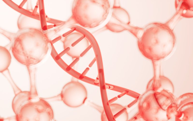 Nucleotides: The Molecular Powerhouses